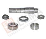 KIT PERNO FUSO (1 PZ) CON CUSCINETTI FL6-FH12/16