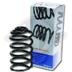 Molla autotelaio PER Volvo S40/V40 96-00DAL REAR HD / FORM AC